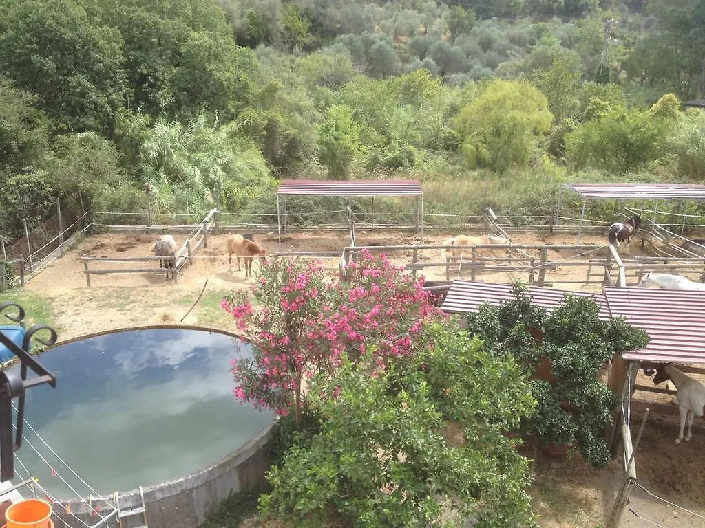 Guest house Il Piccolo Ranch Hotel Cervo Italy